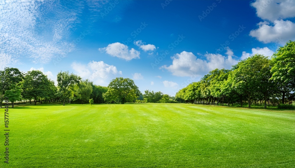 Fototapeta premium lush green lawn with trees and blue sky and white clouds on a bright sunny day
