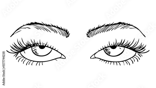 Eye makeup drawing tutorial with eyelashes and eyebrows vector illustration for beauty blog and design