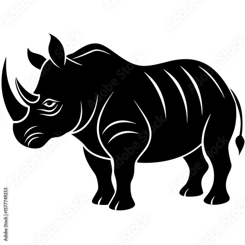 rhino isolated on white