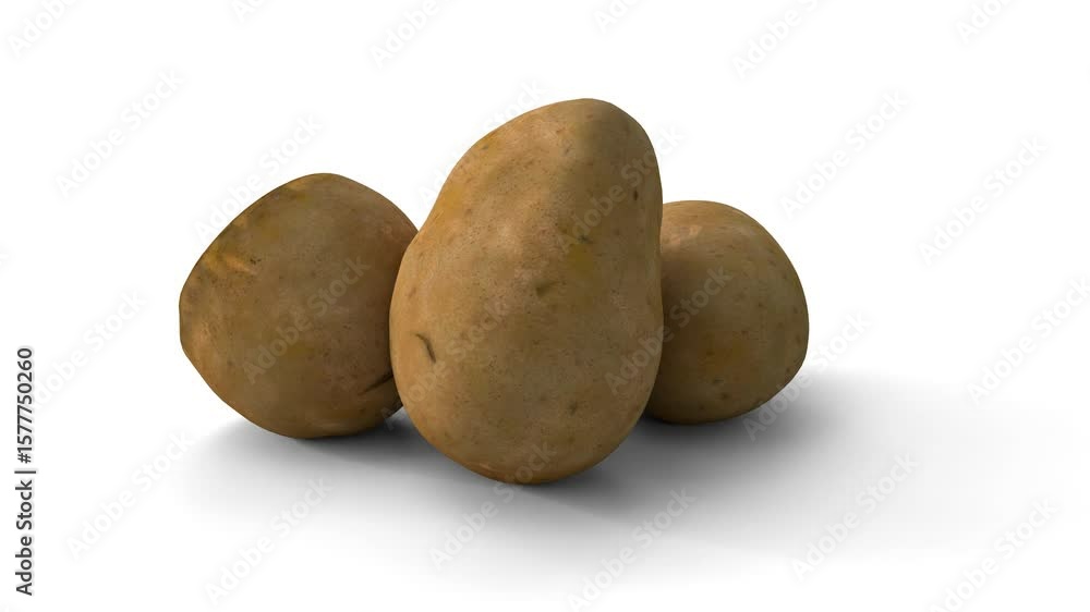 potatoes on a white background potatoes on a white background