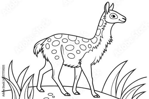 coloring page line art the vicuna black vector