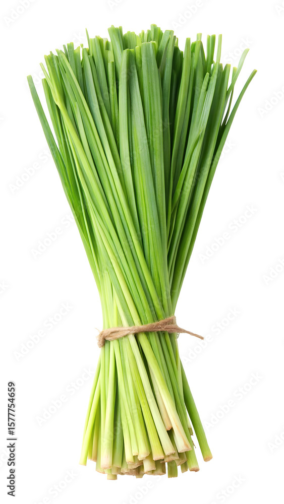 Obraz premium Fresh bundle of green lemongrass leaves isolated on transparent white background, clipping path