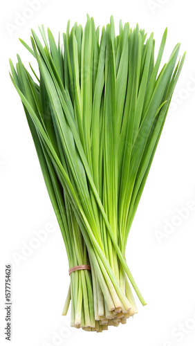 Fresh bundle of green lemongrass leaves isolated on transparent white background, clipping path