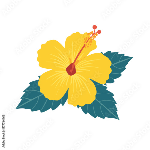 Yellow Hibiscus Flower Icon Isolated on a Transparent Background 
