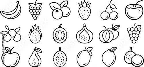 Fruit outline icon set, line icon bundle, editable stroke icon collection