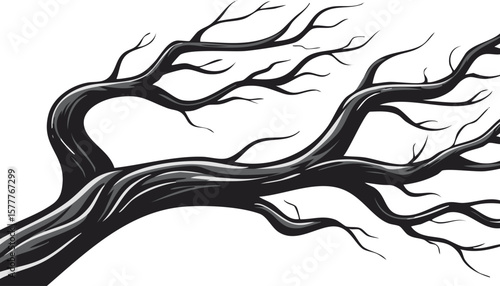 black dried old spooky dead tree branch isolated on transparent white background. cut out.horror, abstract, dead, dark, nature, old, dry, season, tree, black and white, clip, colours, concepts, 