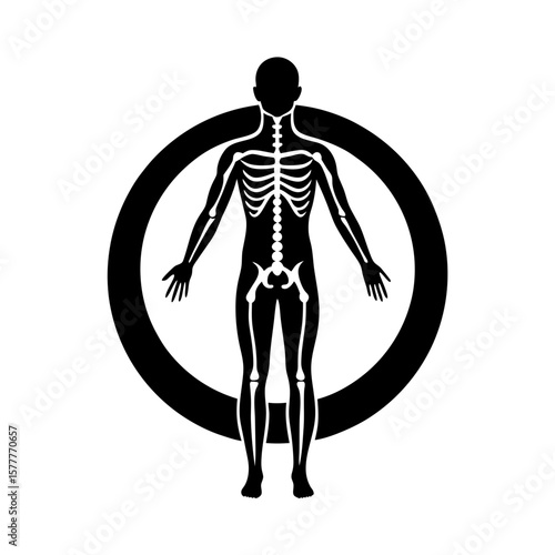anatomy silhouette icon vector art illustration.