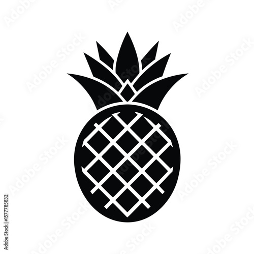 illustration of pineapple with splash