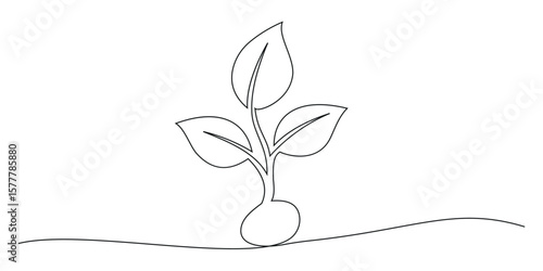 Plant growing continuous one line art drawing of tree plant outline vector illustration. Editable stroke. Sprout single line art illustration.