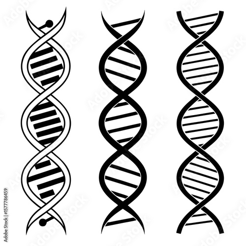 Abstract D N A Strands Black White helix molecule