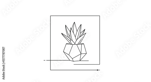 Minimalist line art of potted succulent plant with geometric pot design
