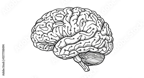Illustration of a human brain with circuit connections in black and white