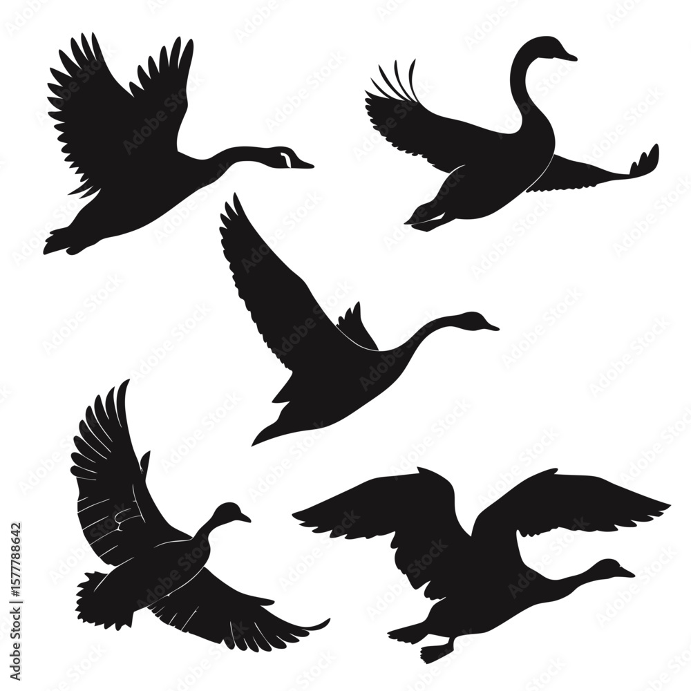 Fototapeta premium Black silhouettes of flying birds wings