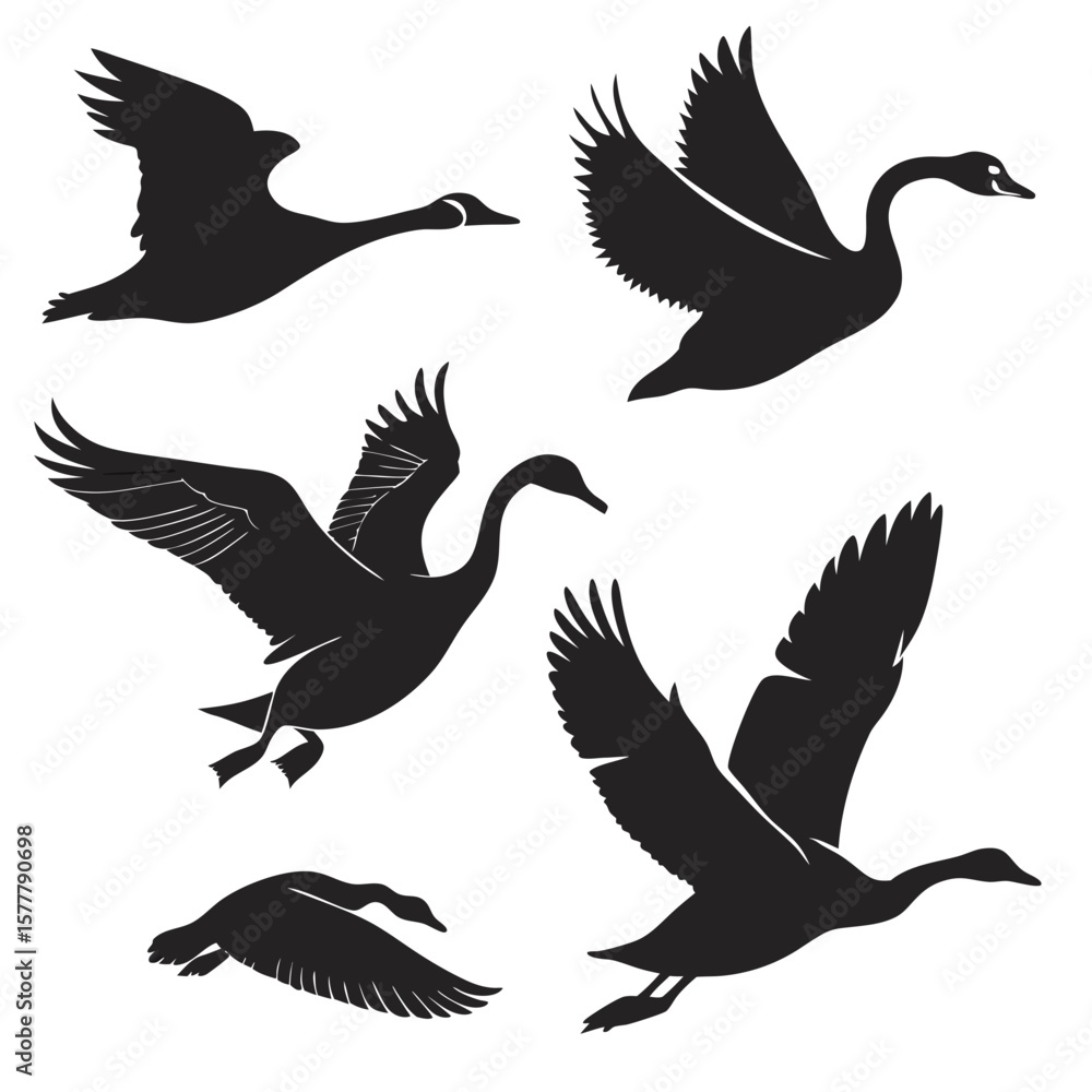 Obraz premium Flying geese and swans silhouettes birds