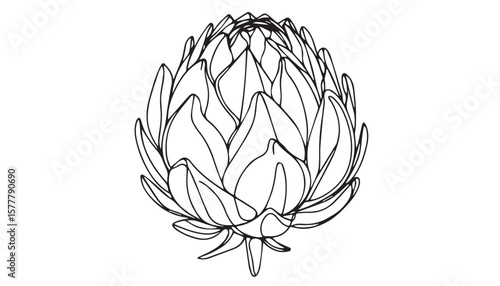 Continuous one single minimal line drawing Artichoke