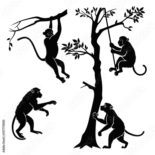 Four black monkey silhouettes on tree branches primate