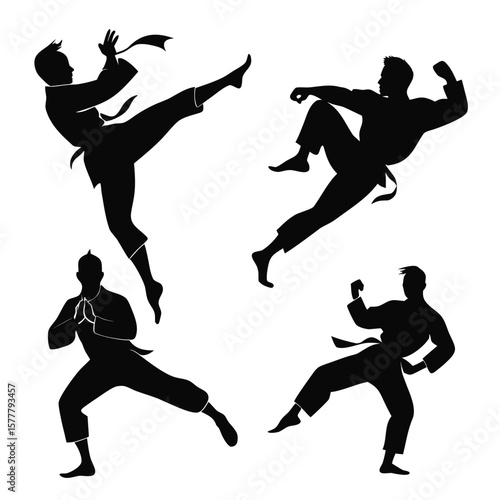 Martial artists performing various combat stances martial arts