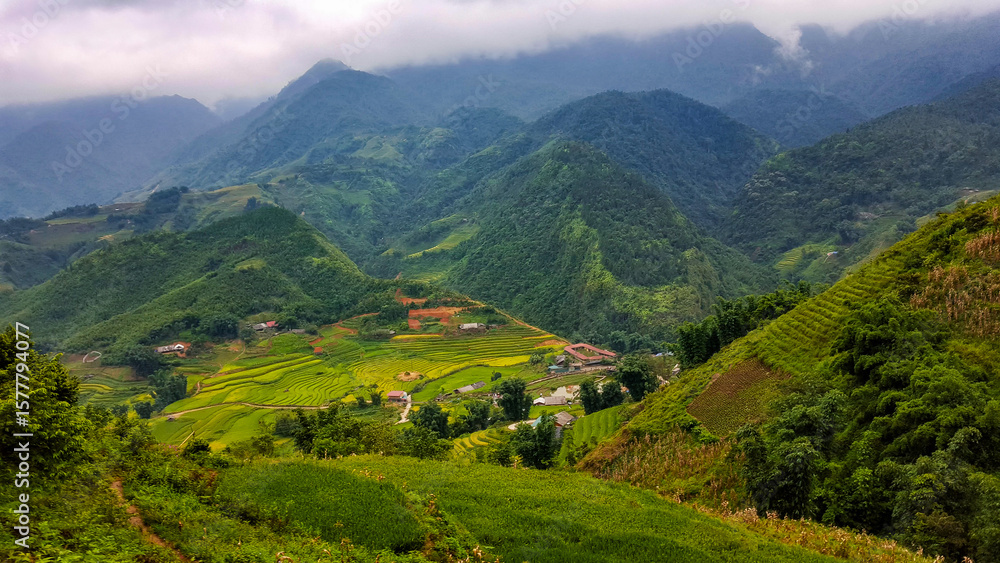 Fototapeta premium Looking Down into a Valley of Rice Terraces
