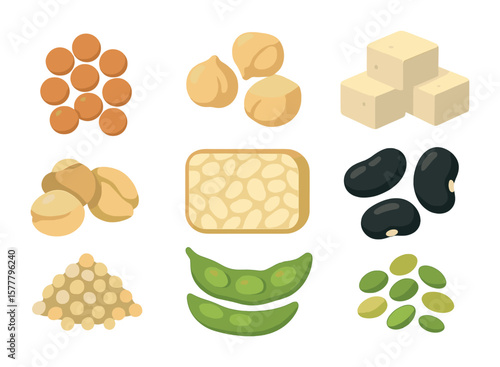 Plant Protein Icons. Flat icon set of plant-based proteins: lentils, chickpeas, tofu, tempeh, black beans,
