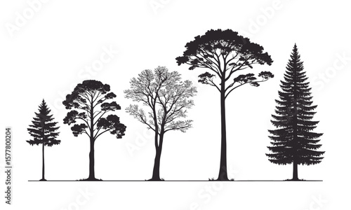 Minimalist vector illustration featuring a series of black tree silhouettes on a plain white background, easily editable and scalable.
