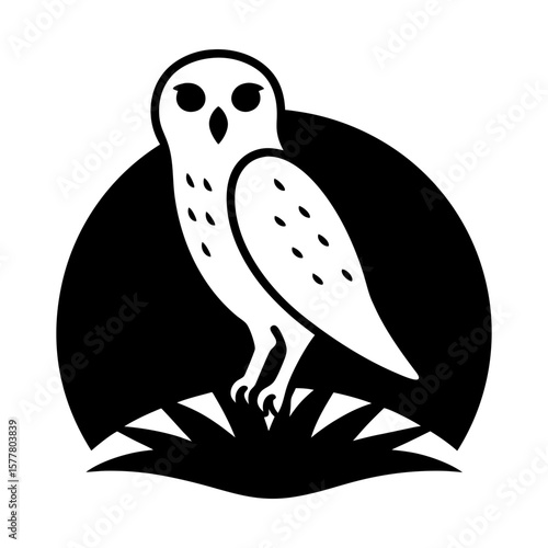 Elegant owl vector graphic nocturnal bird illustration design silhouette