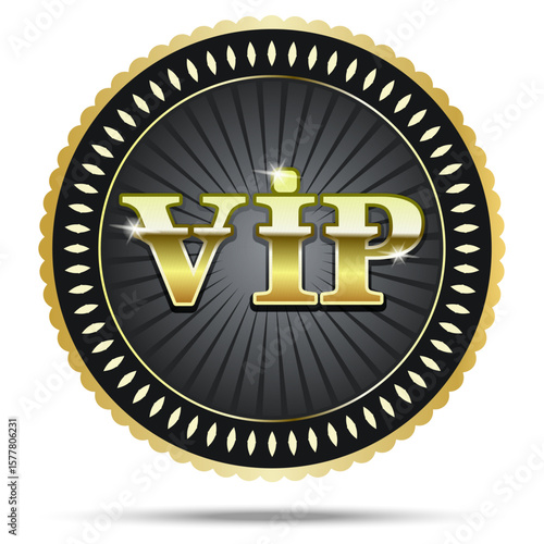 VIP sign gold on black background gold logo sign for VIP person card vector image