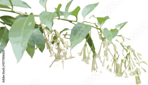 A fresh green plant branch with vibrant leaves isolated on white, showcasing nature's spring growth.