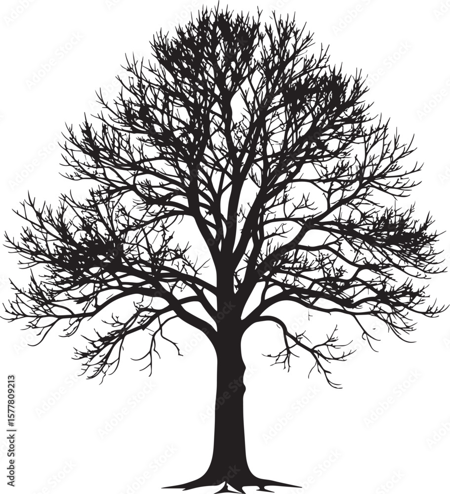Obraz premium Leafless Winter Tree Silhouette Vector – Black Seasonal Forest Scene Graphic