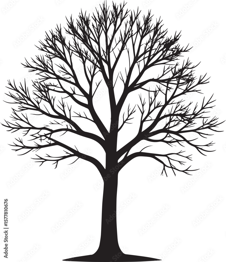 Obraz premium Leafless Winter Tree Silhouette Vector – Black Seasonal Forest Scene Graphic