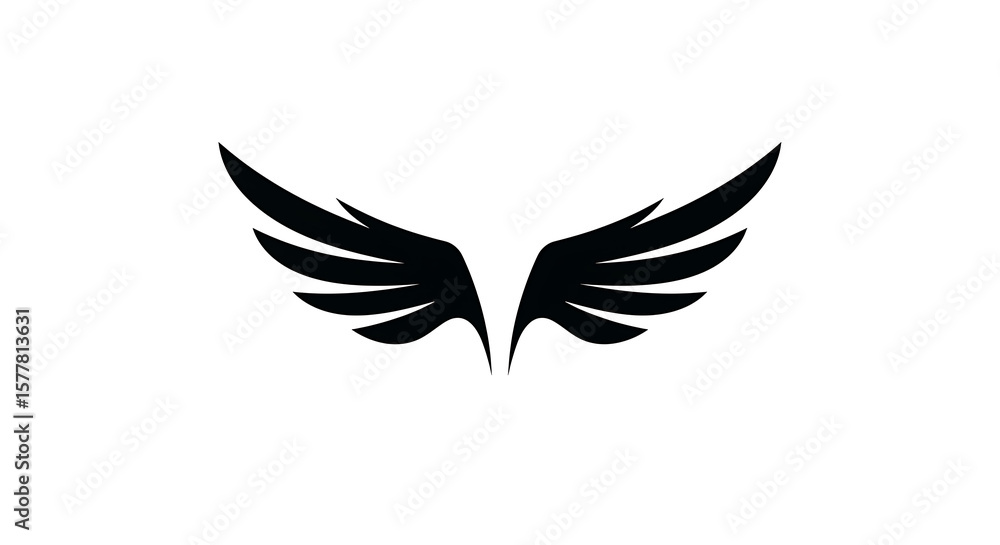 Obraz premium Pair of stylized wings.