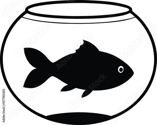  goldfish in a fishbowl