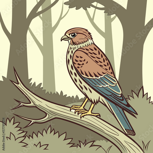 vector illustration of a bird