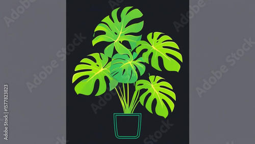 Vibrant Monstera Plant in Pot