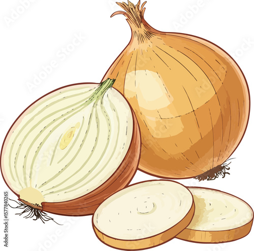 onion and garlic