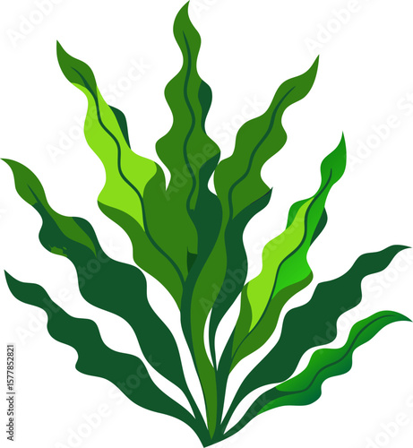 Seaweed (Kelp) icon
