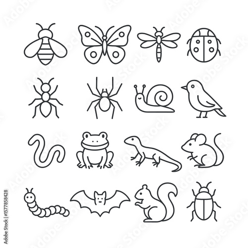 Animal and insect icon collection, simple wildlife symbols. nature and fauna set