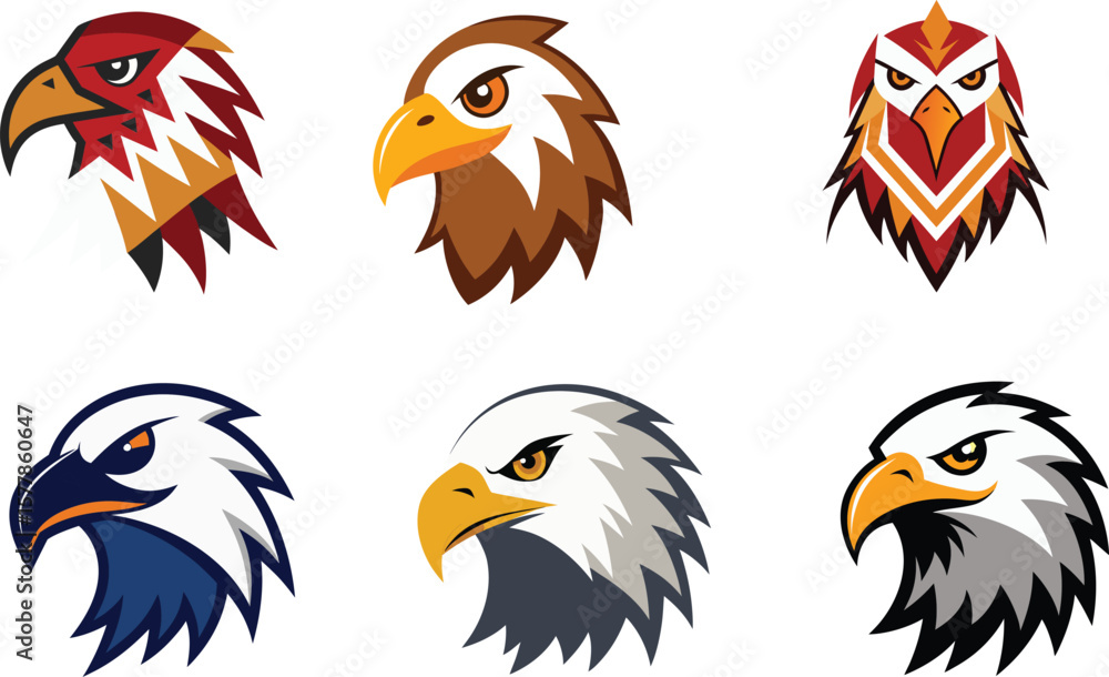 Fototapeta premium Eagle Head Color Vector Illustration