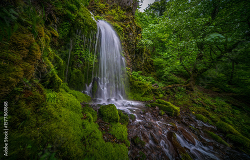 waterfall in the woods