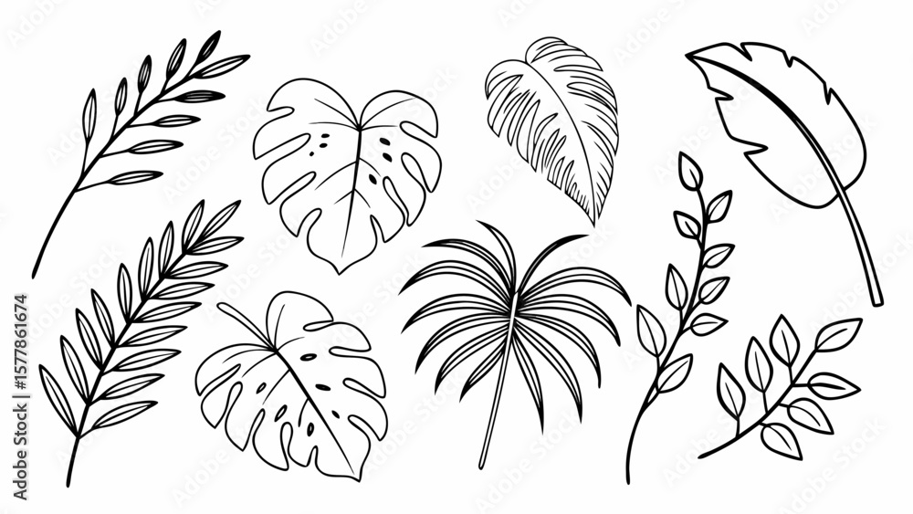 Obraz premium Collection of greenery leaf plant forest herbs tropical leaves