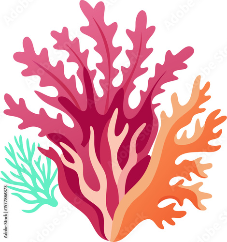 Slika na platnu Coralline Algae icon