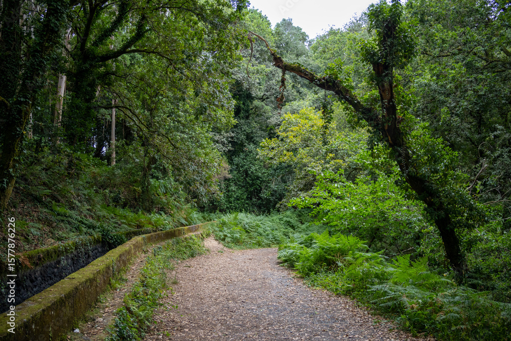 Fervenza do Toxa in Silleda, Galicia offers an unforgettable hiking experience with stunning views of one of Pontevedra’s most beautiful waterfalls. Fervenza do Toxa in Silleda, Galicia offers an unforgettable hiking experience with stunning views of one of Pontevedra’s most beautiful waterfalls.