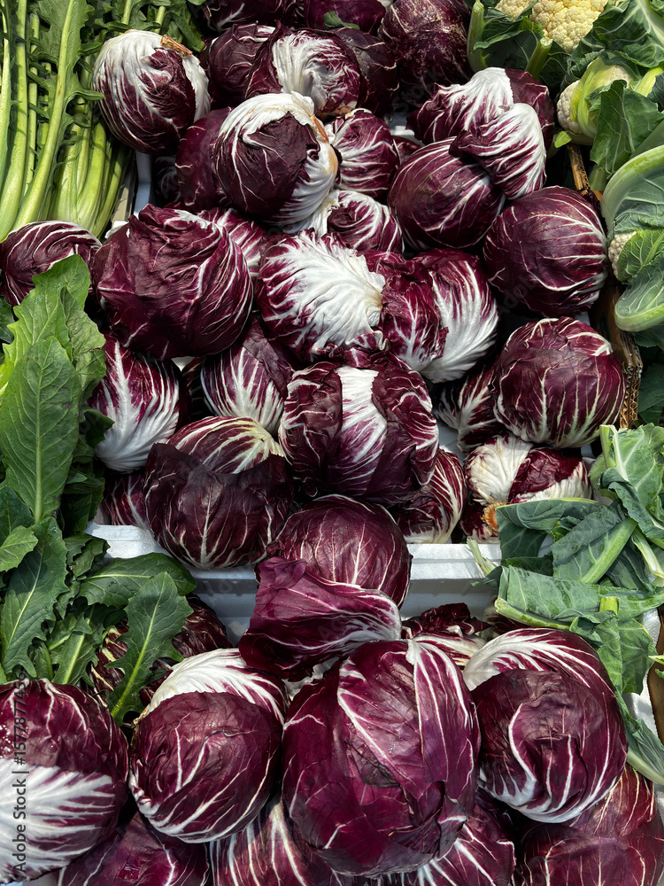 Fototapeta premium Crates full of Chioggia radicchio, displayed at a local market. A perfect image to illustrate the concepts of Italian agriculture.