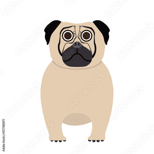 Pug Dog Vector Illustration