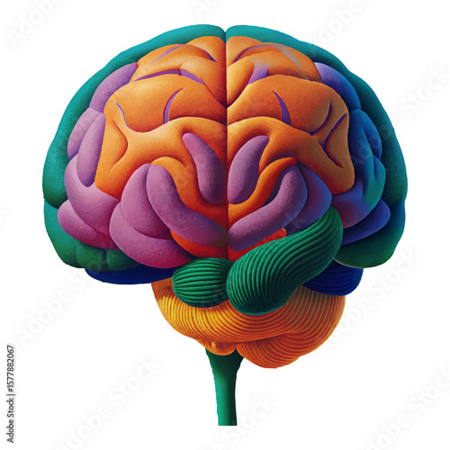 Colorful brain artwork showcases mental health, neurology, and cognitive science, symbolizing intelligence and mind power.
