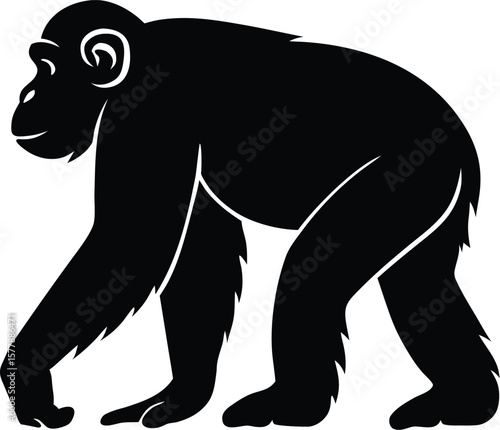 Chimpanzee silhouette with extended arm, rounded head, and walking stance for expressive primate icon