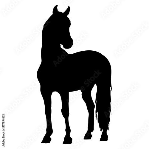 single black horse silhouette vector