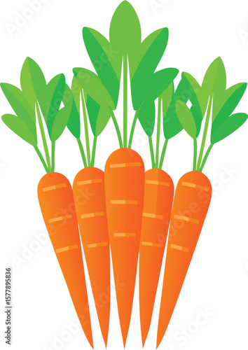 Freshly Harvested Bunch of Organic Carrots with Lush Green Tops, Healthy Vegetable Illustration