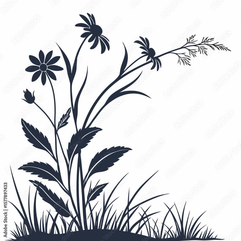 Fototapeta premium black and white wedelia