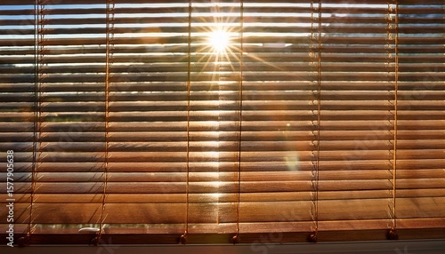 a wooden blind slat for controlling light entering the window