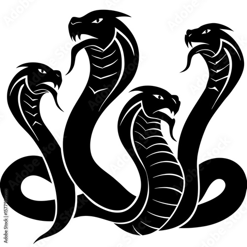 Four cobra heads are isolated on white background